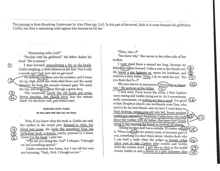 This passage is from Breathing Underwater by Alex Flinn (pp. 2–5). In this part of the novel, Nick is in court because his girfriend, Caitlin, has filed a restraining order against him becuse he hit her. Copyright © 2001 by Alexandra Flinn. Used with permission.