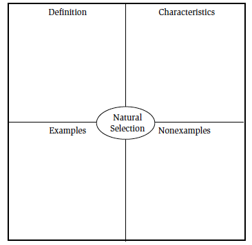 Frayer vocabulary development model