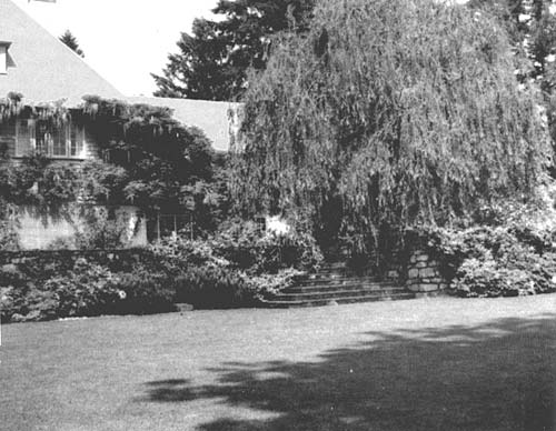 Wisteria and clematis vines trained on the house.