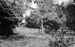 Portion of the House Garden