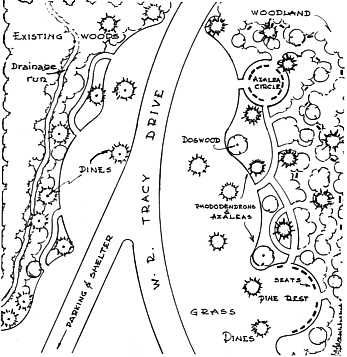 landscape plan