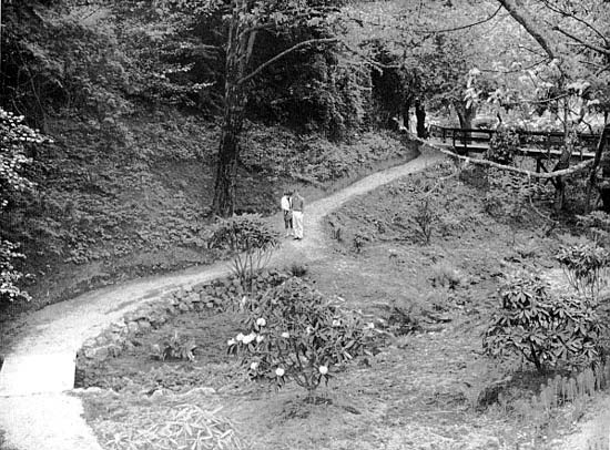 Jane Martin entrance garden