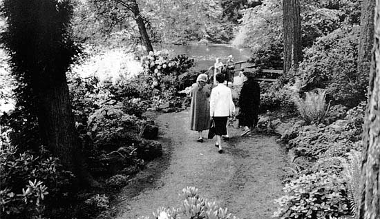 The Rockery Section, Test Garden at Crystal Springs