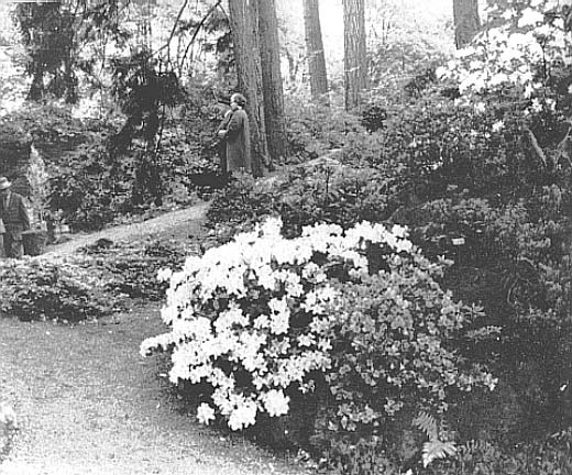 Test Garden at Crystal Springs