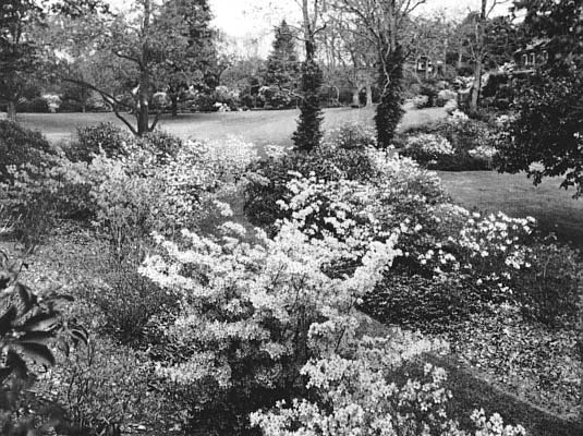 Grounds at the Dexter Estate