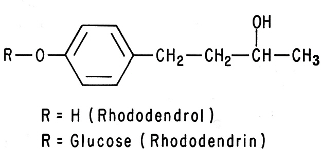 Chemical structure