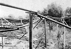 Winter damage to lath house in Ohio