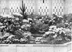 Garden Display at Seattle Show