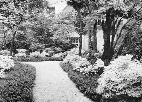 Azalea walk approaching Coe Hall, Planting Fields Arboretum