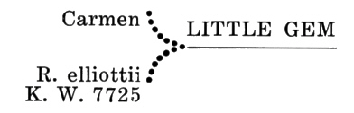 R. 'Little Gem' parentage