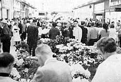 Flower Show at Tacoma Mall