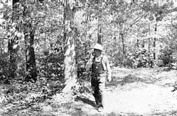 Mr. Gable in the Flowering Forest