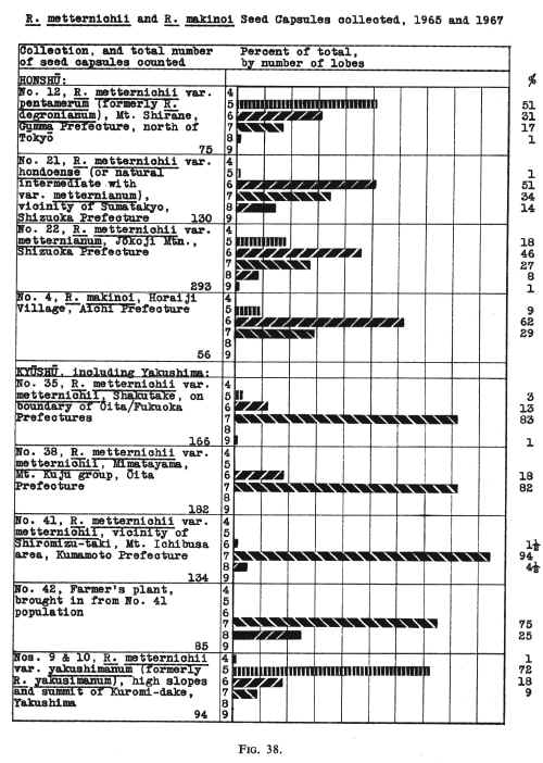 Fig38.jpg (1057950 bytes)