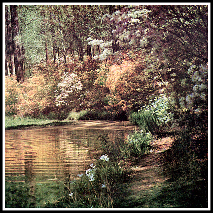 Azalea Trail, Callaway Gardens