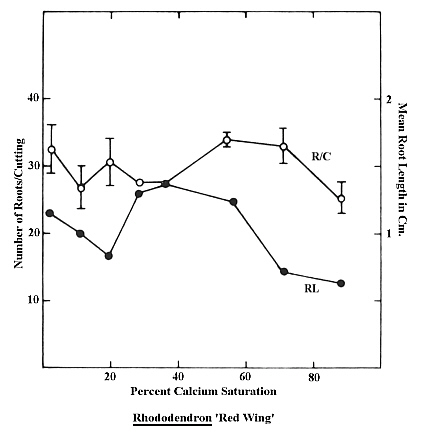 Mean number of roots per cutting and mean root length