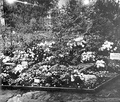 Philadelphia Chapter's Gold Medal Flower Exhibit