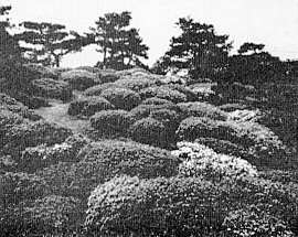 Kurume Horticultural Research Station