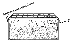 Rhododendron propagation bed