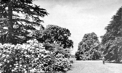 Planting Fields Arboretum