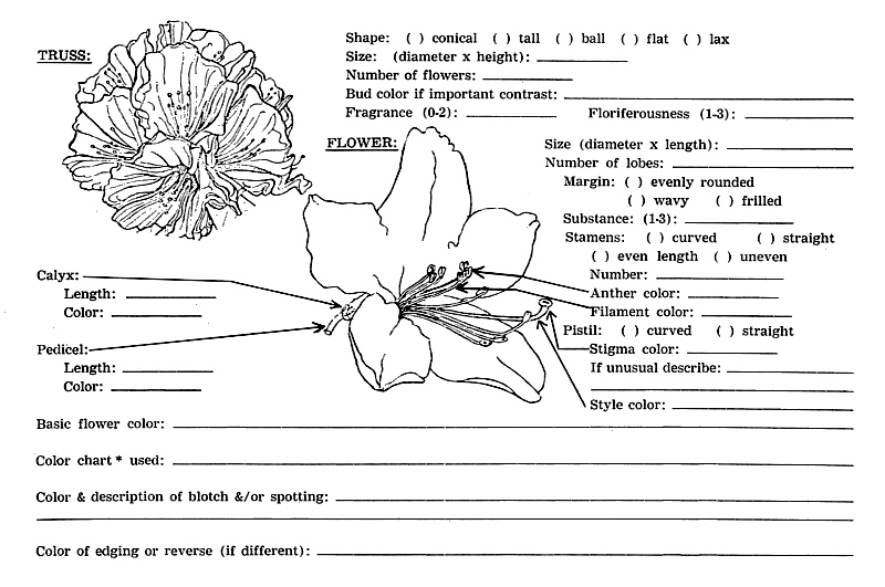 Name Registration Form Page 2