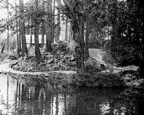 Crystal Springs Island Rhododendron Garden