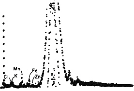 Analysis of white powder from the<br>
surface of a leaf is depicted in graph. Manganese is the predominant peak.