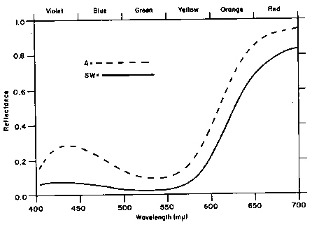 Reflectance curves of red rhododendron varieties