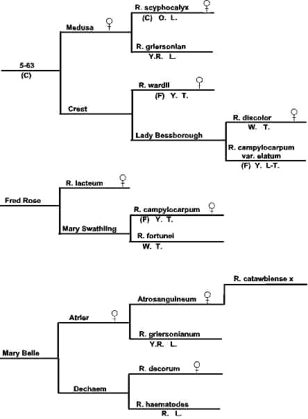 chart 2