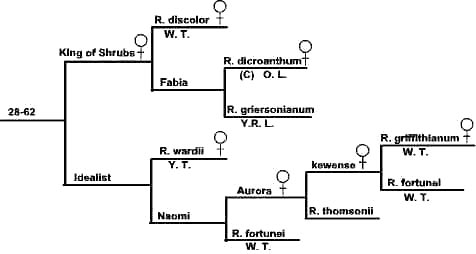 chart3