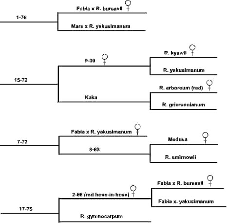 chart 6