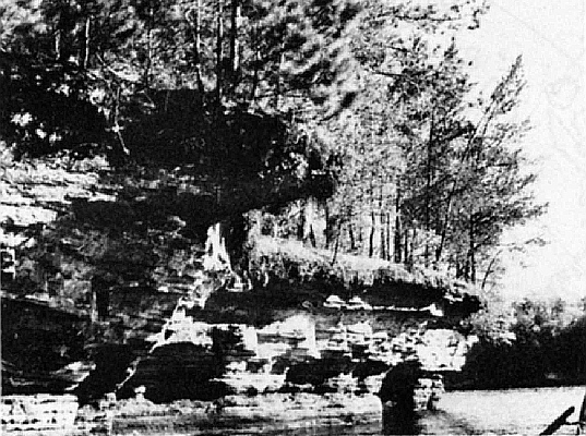 R. lapponicum growing along sandstone cliffs