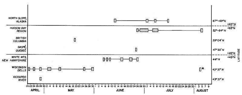 Range of flowering dates for R. lapponicum from different locations