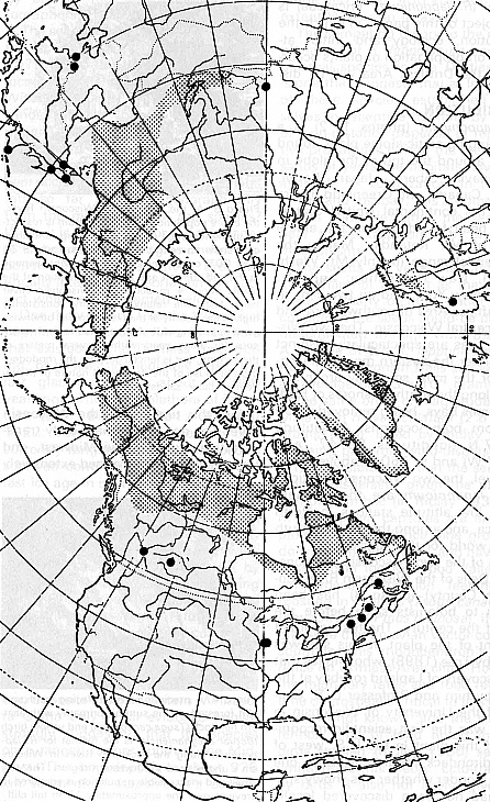 Map showing distribution of R. lapponicum