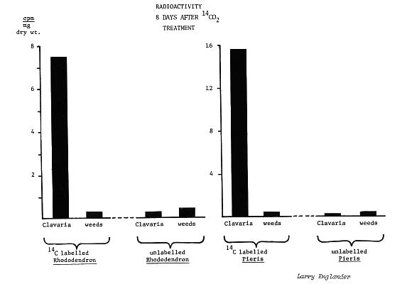 Experimental test results.