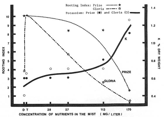 Effect of nutrients in the mist on the rooting response and K levels of cuttings 
of rhododendrons