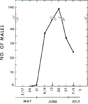 Fig. 5 Male flight profile at
Beltsville, Maryland.