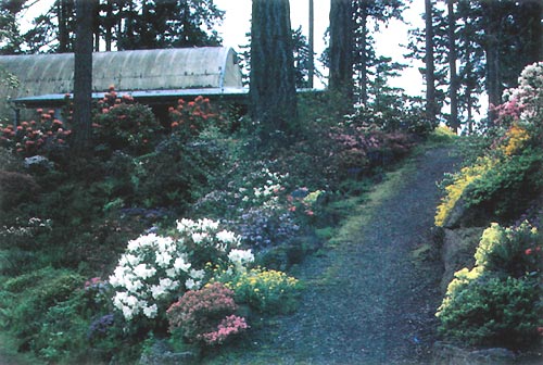 Crystal Springs Garden