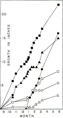 Experimental results