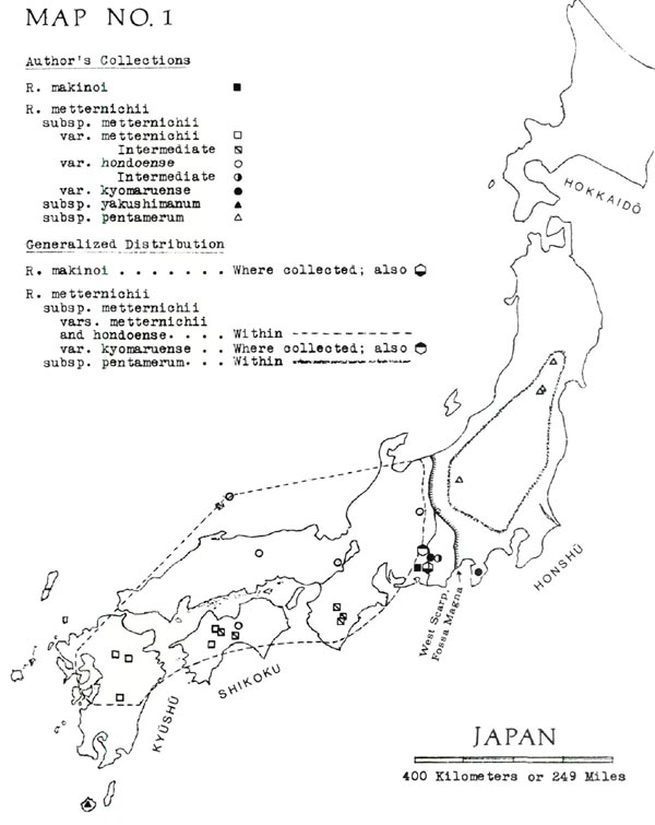 Rhododendron species in Japan