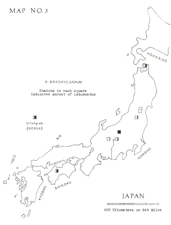 R. brachycarpum distribution