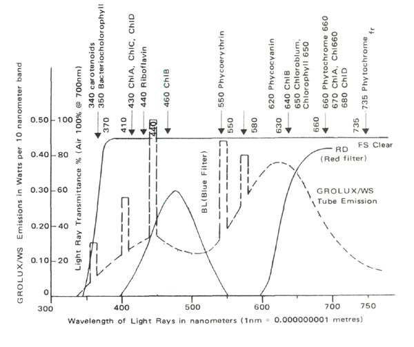 Light emission characteristics