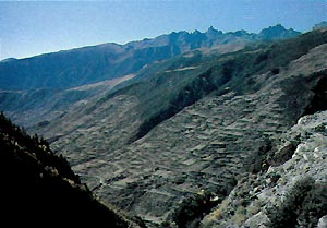 Terraced farms at about 12,000 ft. near Zulun.