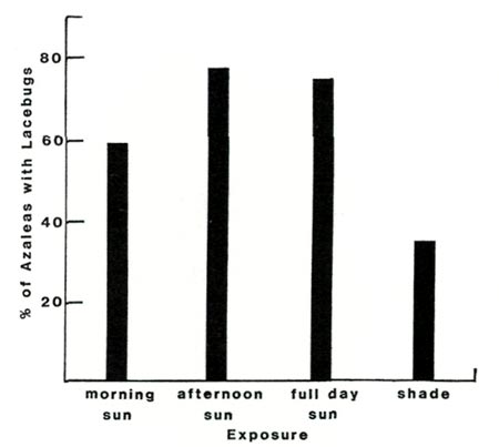 Sun exposure effects on lacebug damage.