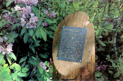 Rhododendron Lake labeling system