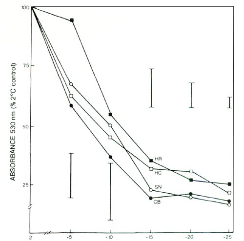 Triphenyl tetrazolium chloride test of freezing injury to leaves of 4 azalea cultivars