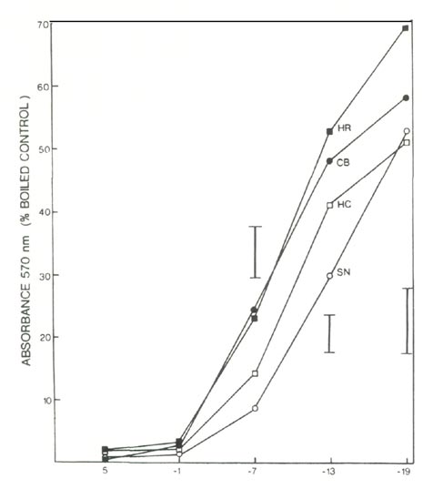 Ninhydrin test of freezing injury to roots of 4 azalea cultivars