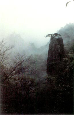 Peaks near the Beihei