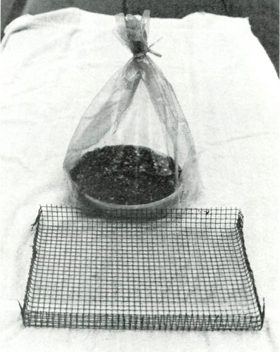 Mesh basket for growing seedlings