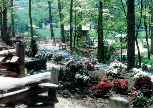 Haywood Technical College rhododendron garden