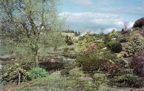 The Alpine Garden